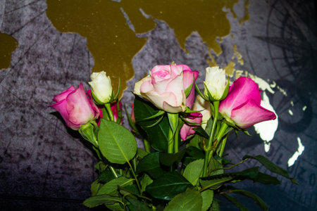 Bouquet of pink and white roses on a dark background.の写真素材