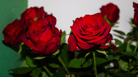 red roses in a vase on a green background, close upの写真素材