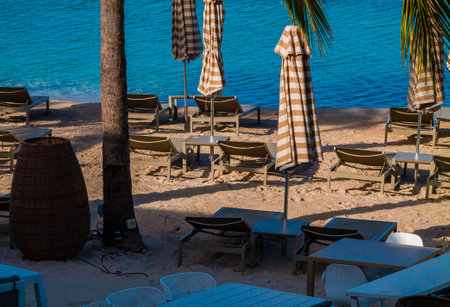 Beach chairs and umbrellas on the beach in the morningの写真素材