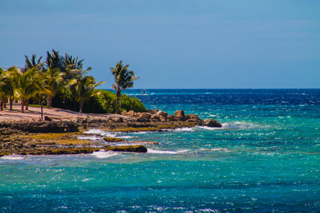 Coast of the Caribbean Sea with palm trees and blue sky.の写真素材