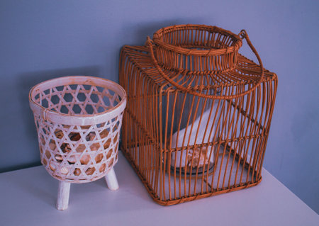 Vintage style of bird cage and wicker basket in the living roomの写真素材