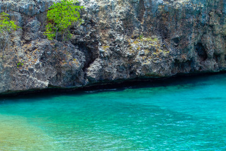 Tropical beach with turquoise water and green trees.の写真素材