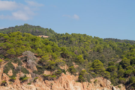 A scenic view of a lush green hillside with pine trees, rocky terrain, and a clear blue sky. The landscape showcases the natural beauty of the area, highlighting the contrast between the greenery and the rocky outcrops.の写真素材