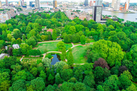 Aerial view of a lush green park with trees, pathways, and a pond, surrounded by a city skyline featuring modern buildings and skyscrapers.の写真素材