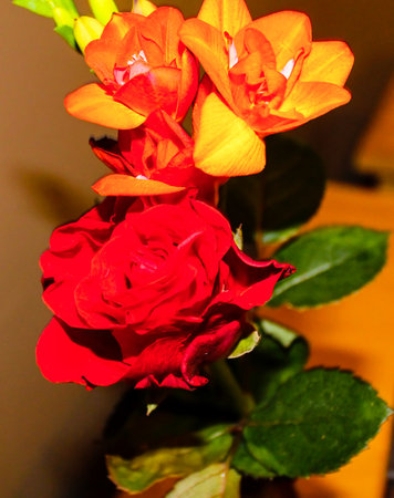 A vibrant bouquet featuring red roses and orange flowers, showcasing a beautiful arrangement of colors and textures. The green leaves add a fresh touch to the floral display.の写真素材
