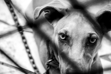 prisonの写真素材