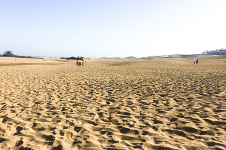 Maspalomas Sand Dunes (Dunas de Maspalomas) on the south coast of the island of Gran Canaria, Canary Islands, Spainのeditorial素材