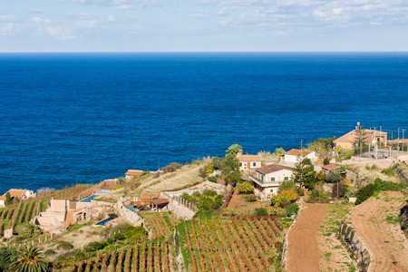 Vineyard terraces in Banyalbufar, Majorca, Spainの写真素材