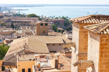 Gargoyles of the Cathedral of Santa Maria of Palma, also known as La Seu, with the sea in the background. Palma, Majorca, Spainの写真素材
