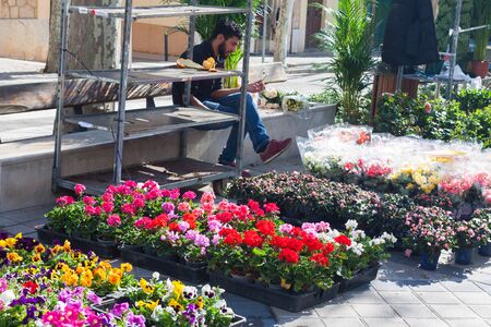 ESPORLES, SPAIN - FEBRUARY 17, 2018: Flowers for sale at a local market in Esporles, Mallorca, Spainのeditorial素材