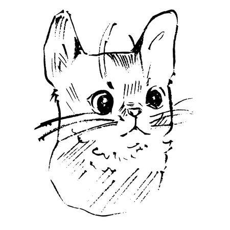 Cute cat ink portrait. Japanese bobtail cat drawing. Vector drawing isolated on white. Animal minimal sketch.のイラスト素材