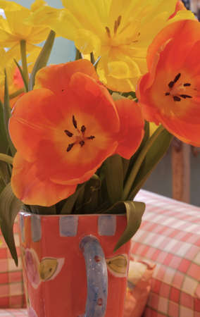 coral toned vase and paid couch to match with yellow and coral tulips, up close macro shotの写真素材