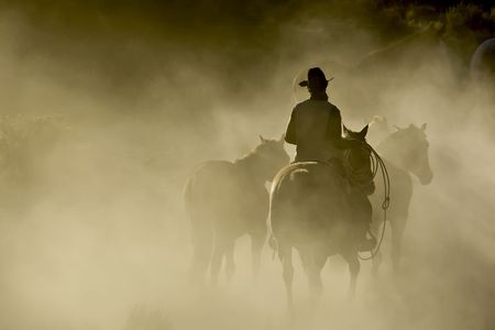 Single Cowboy with rope and horses in the dustの写真素材