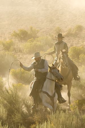 Two Cowboys galloping and roping through the desertの写真素材