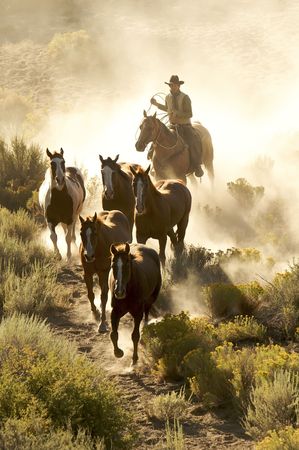 Single cowboy guiding   horses through a dusty desertの写真素材