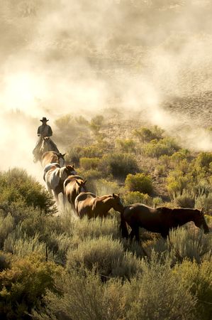 Single cowboy guiding a line of horses through the desertの写真素材