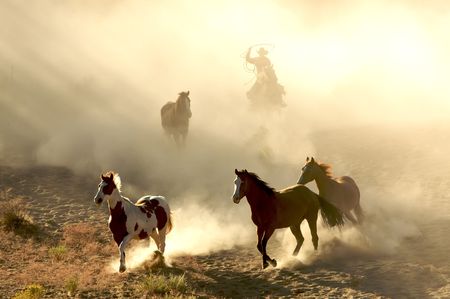 Sunlight Horses and cowboy galloping and through the desertの写真素材