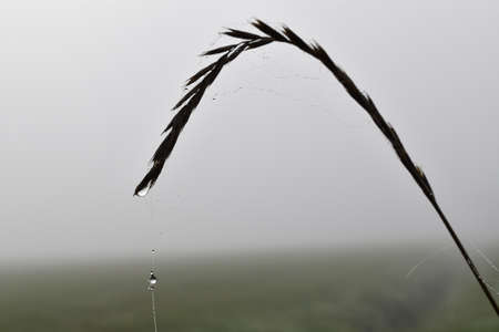 The nature is cryingの写真素材