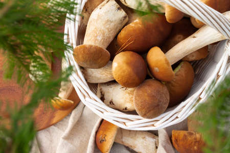 White wicker basket with boletus mushrooms. Top viewの写真素材