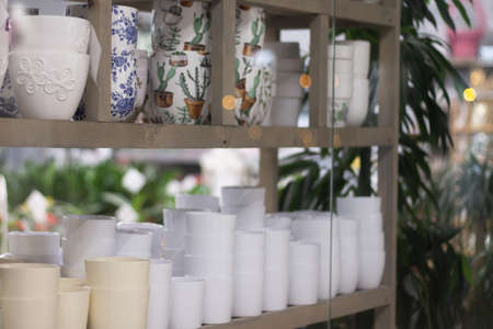 Flower pots standing on the shelves of a flower shop in a shopping mallの写真素材