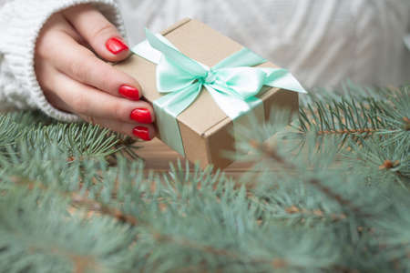 A woman's hand in a white knitted sweater with red nail polish holds a gift with a mint ribbon, near the branches of a Christmas tree.の写真素材