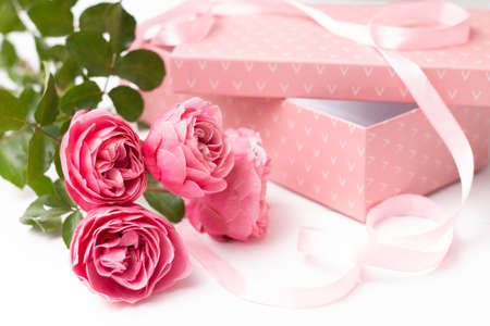 Pink delicate roses, sort Leonardo da Vinci on a white surface with gift box and ribbon.の写真素材