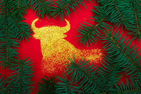 Bull, symbol of 2021, made of golden sparkles on a red surface with Christmas tree branches. Christmas and New Year greeting cardの写真素材