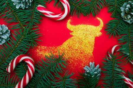 Bull, symbol of 2021, made of golden glitter on a red surface with Christmas tree branches, candy canes and pine cones. Christmas, New Year greeting cardの写真素材