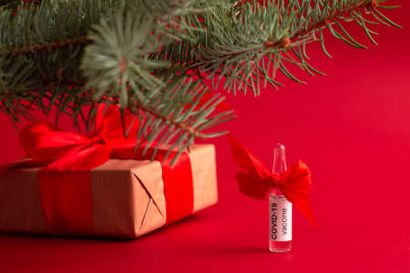 An ampoule of the COVID-19 coronavirus vaccine stands under a Christmas tree branch as a gift on a red background, copy spaceの写真素材