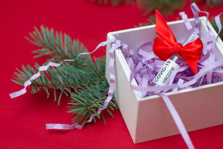 An ampoule of the COVID-19 coronavirus vaccine lies as a gift in a box near a Christmas tree branch, on a red backgroundの写真素材