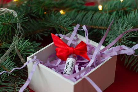 An ampoule of the COVID-19 coronavirus vaccine lies as a gift in a box near a Christmas tree branch, on a red backgroundの写真素材