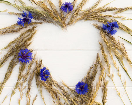 Heart laid out of spikelets and cornflowers on a white wooden background. Flat lay. Copy space.の写真素材