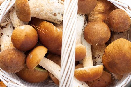 White wicker basket with boletus mushrooms. Top view.の写真素材