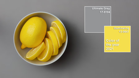 Yellow lemons in gray plate on gray background. Colors of the Year 2021 Illuminating and Ultimate gray. Flat lay. Copy spaceの写真素材