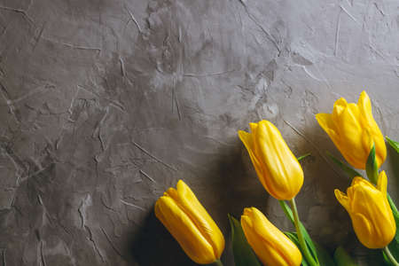 Bright yellow tulips on gray concrete background. Top view, flat lay, copy spaceの写真素材