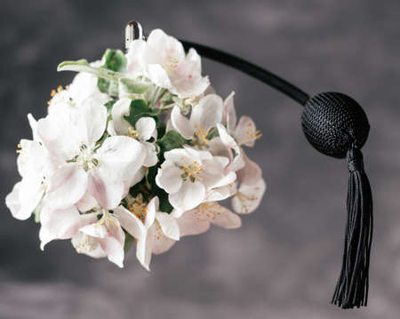 Bottle of eau de toilette or perfume made from apple blossom with long black tassel spray pomp soars in air on dark gray backgroundの写真素材