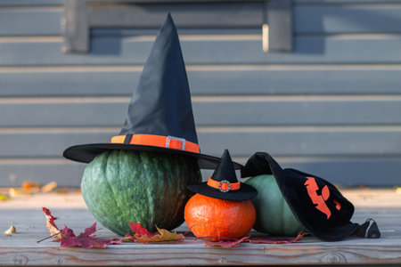 Three Halloween pumpkins in witch hats lying on a wooden terraceの写真素材