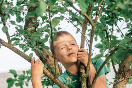 Boy 8-10 in green T-shirt sits among green foliage on tree and winks, in sun beamsの写真素材