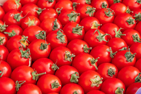 Background image of lying rows of red ripe cherry tomatoes. Top view. Flat lay. Copy spaceの写真素材