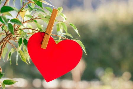 Red heart cut out of paper or plastic attached with clothespin to tree branch on background of blurred greenery with bokehの写真素材