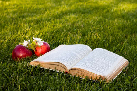 Open book on green grass with fresh red apples and a pear flowersの写真素材