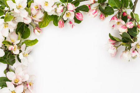Pear flowers frame on a white background. Greeting cardの写真素材