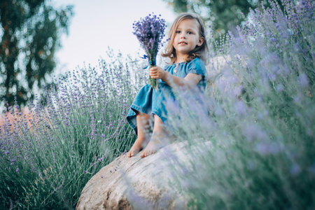 Little girl 3-4 with dark hair in denim dress sits on stone among large bushes of lilac lavender, with bouquet of flowersの写真素材
