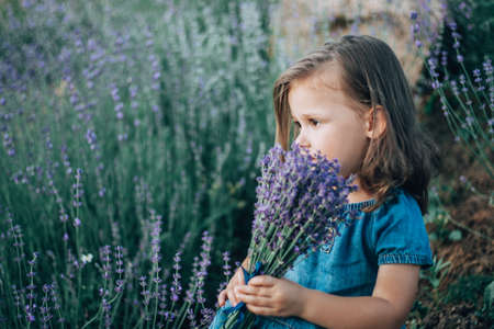 Little girl 3-4 with dark hair in denim dress sits with bouquet of lilac lavender and sniffs itの写真素材