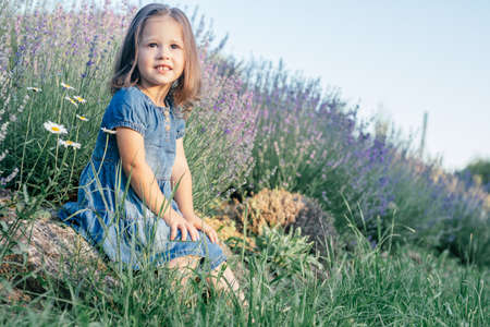 Little girl 3-4 with dark hair in denim dress in sun sits on stone among large bushes of lilac lavender against skyの写真素材