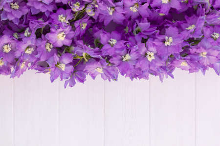 Frame made of lilac delphinium flowers on a white plank background. Top view, copy space.の写真素材