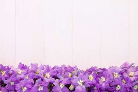 Frame made of lilac delphinium flowers on a white plank background. Top view, copy space.の写真素材