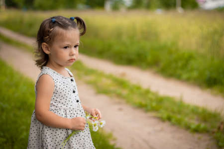 Little cute girl 1-3 in a light dress stands on a path in the field, on a background of grass with a bouquet of daisies in summerの写真素材