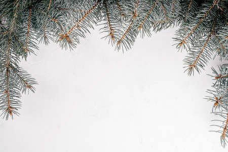 Background image of white uneven concrete surface with Christmas tree branches. Top view. Copy spaceの写真素材