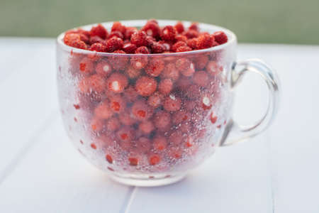 Fresh ripe juicy peeled small wild strawberries in big transparent glass round mug with drops of water on light blue background. Healthy food. Close up.の写真素材